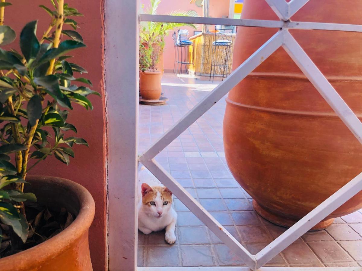 Riad Dihya Marrakesh Esterno foto